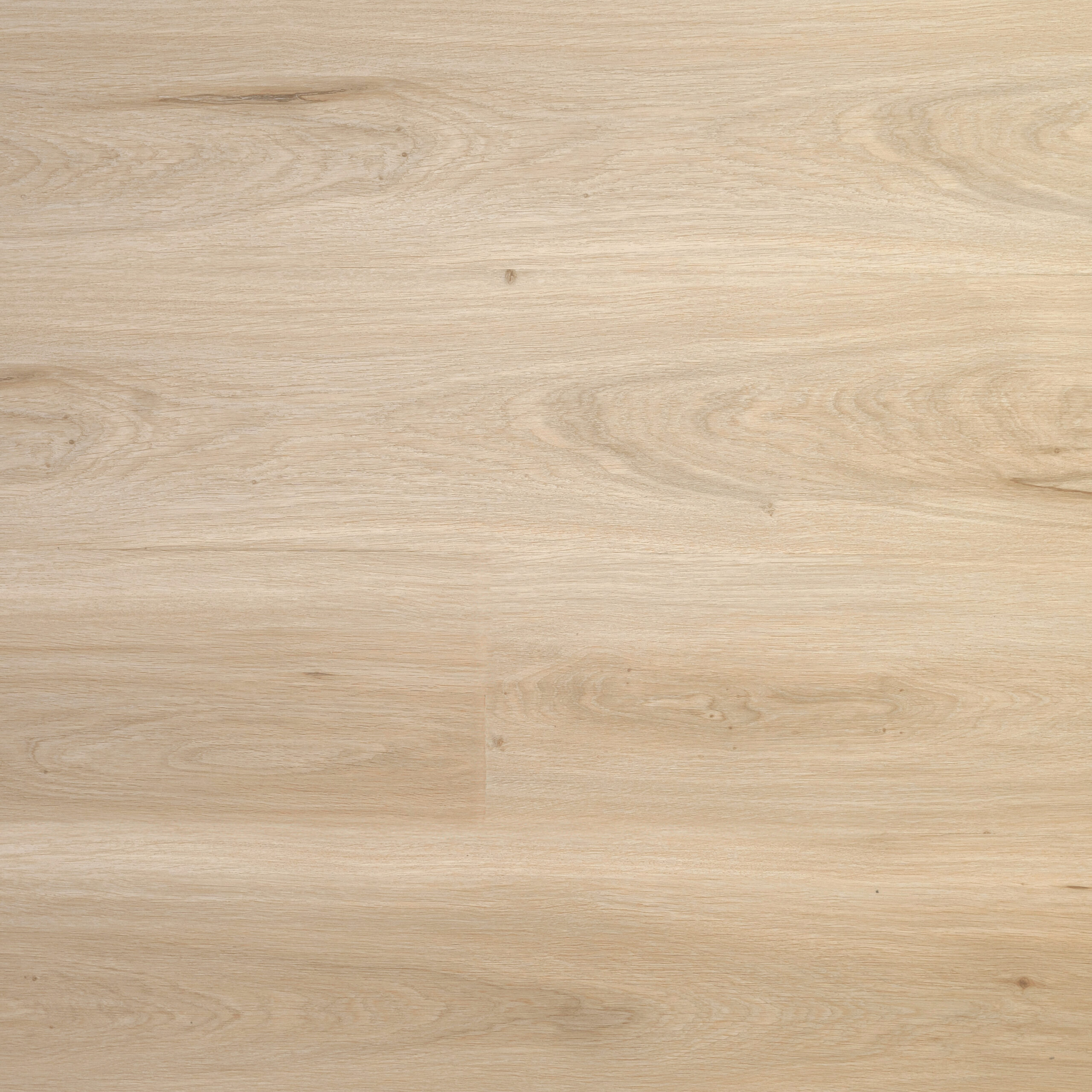 PREMIER - Morning Light (L1201001)