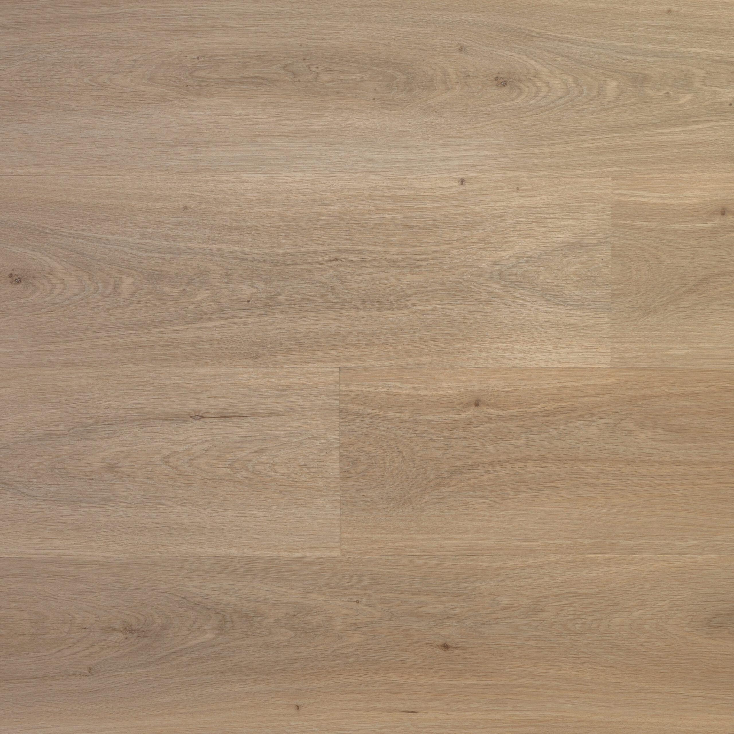 PREMIER - Bare Sand (L1201005)