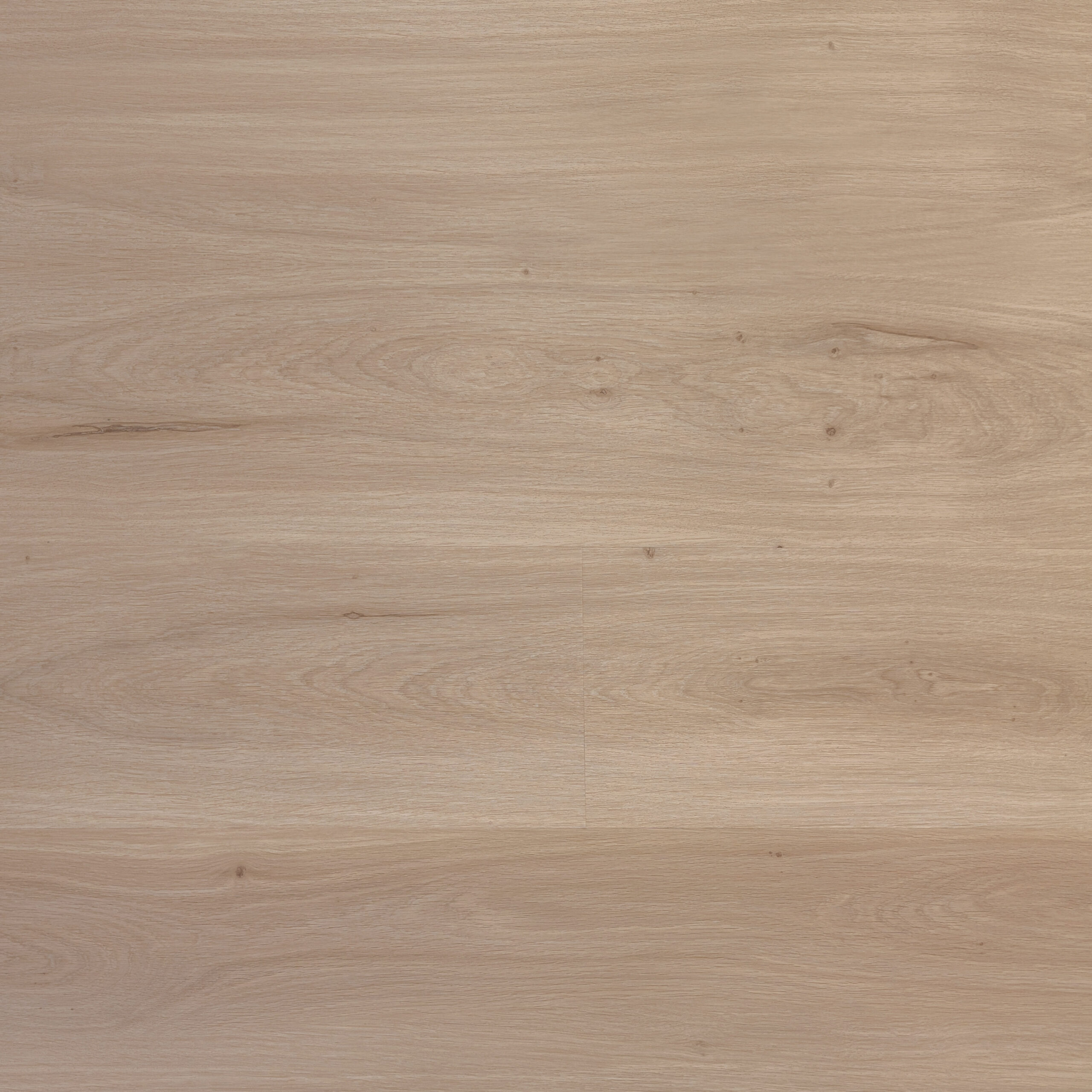 PREMIER - Dusted Warmth (L1201006)