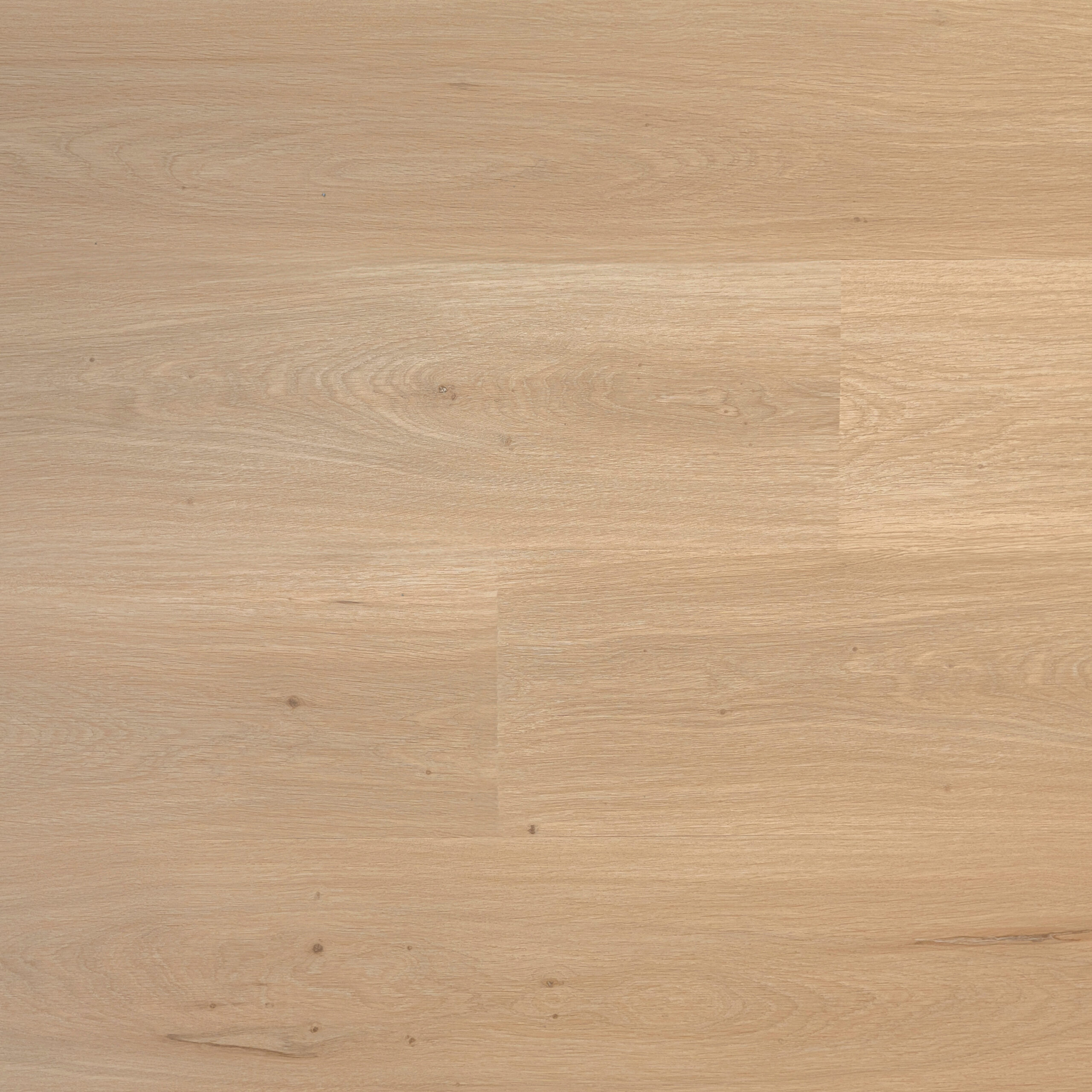 PREMIER - Calm Drift (L1201007)