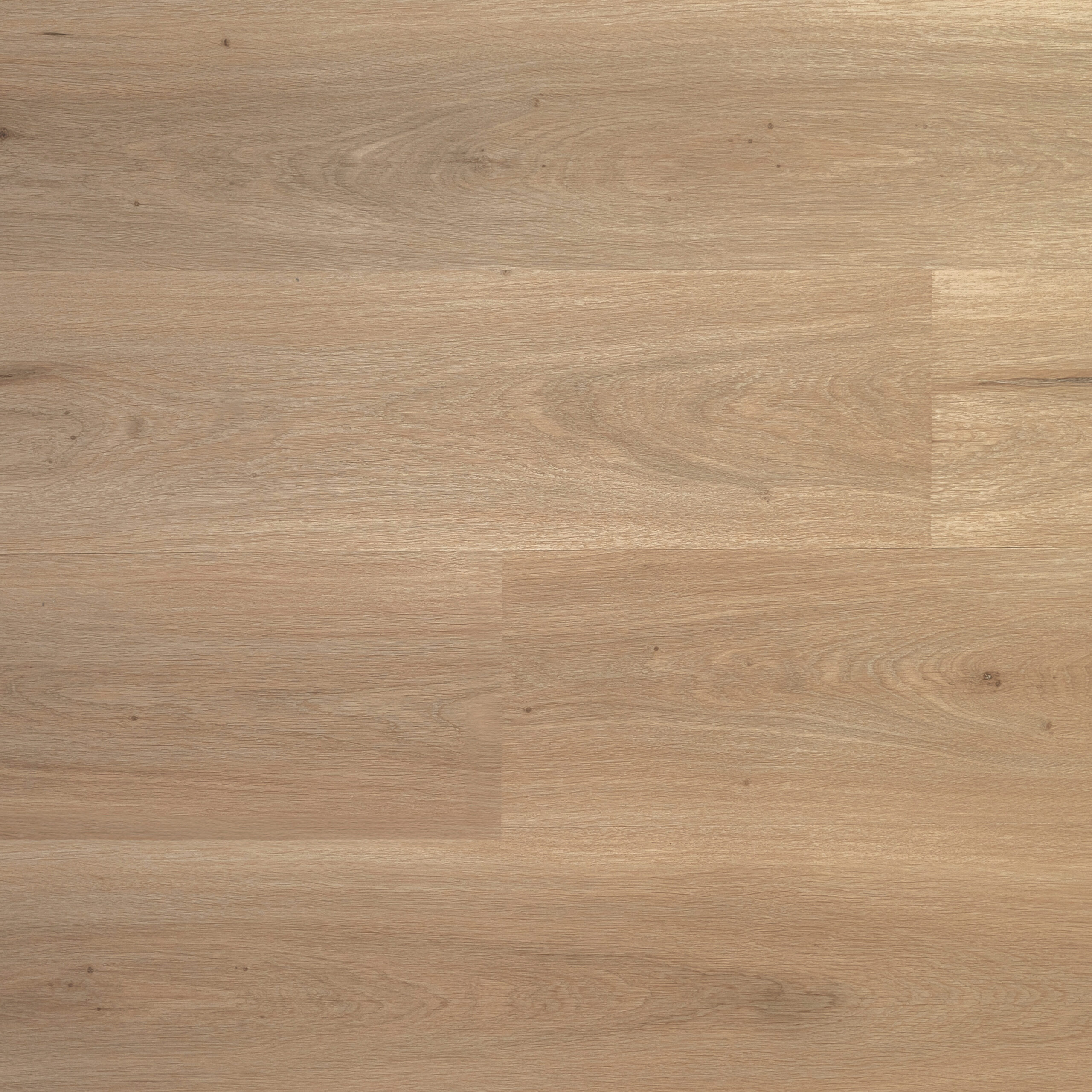 PREMIER - Cozy Clay (L1201008)