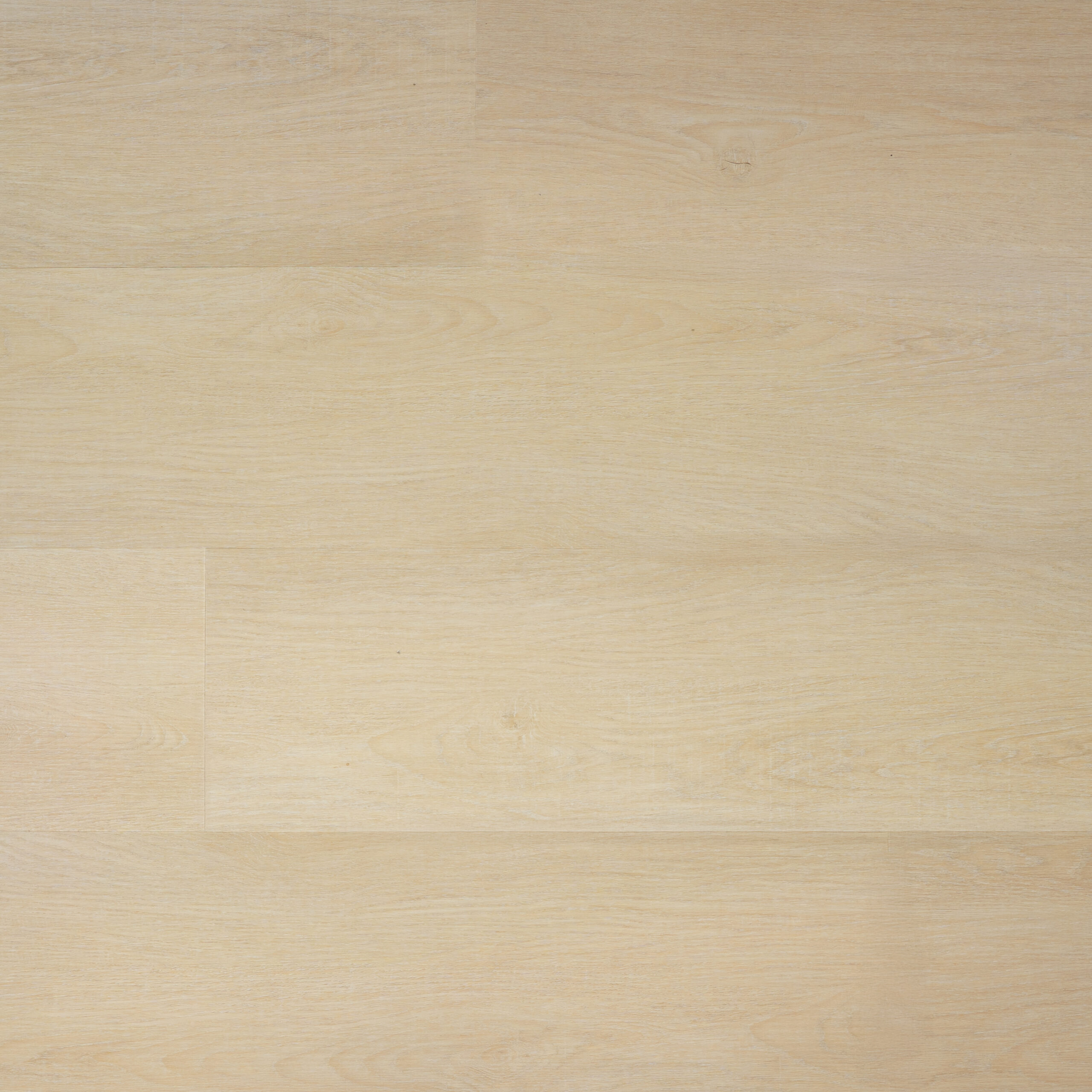 SELECT - Morning Light (L1203005)