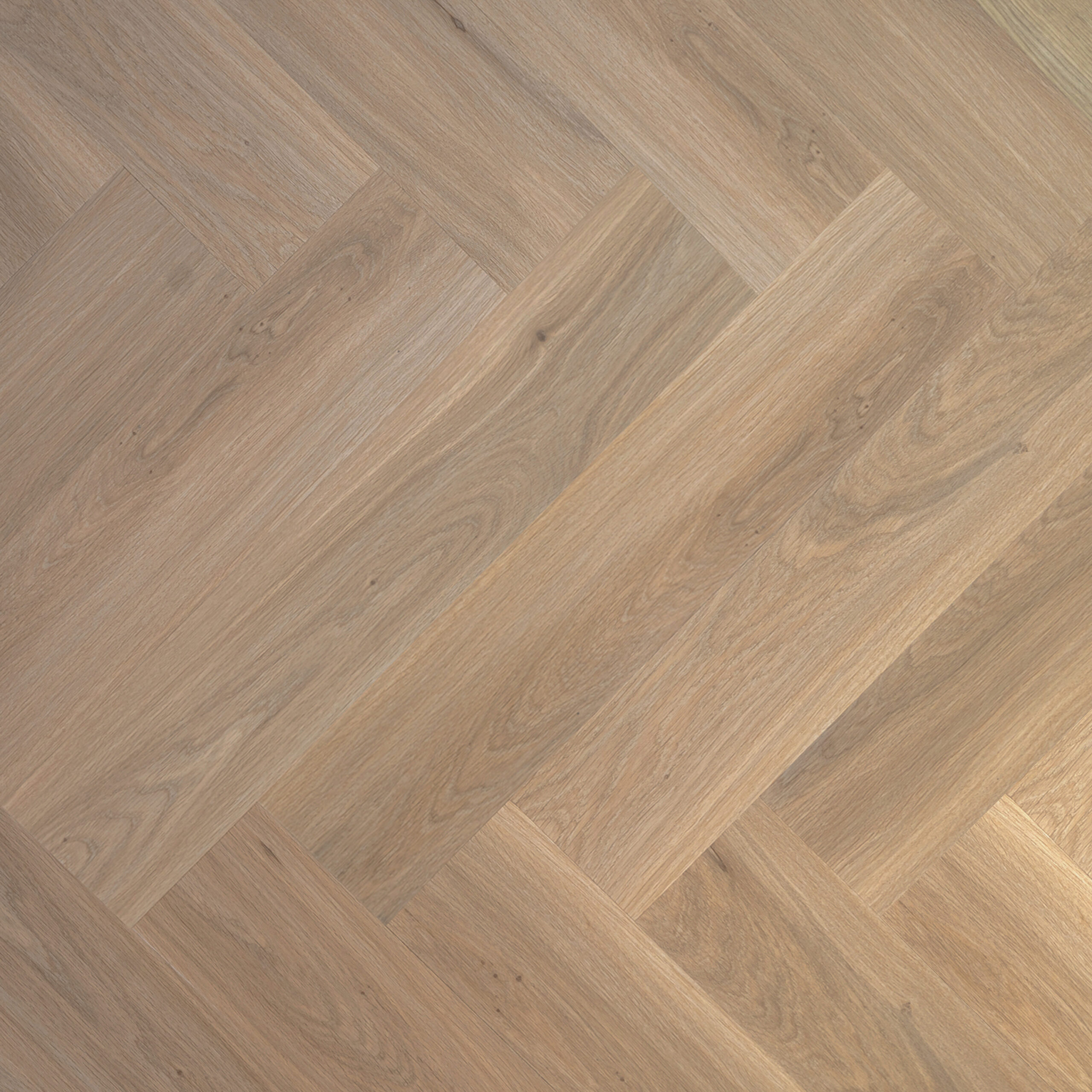 PREMIER - Bare Sand (L751005)